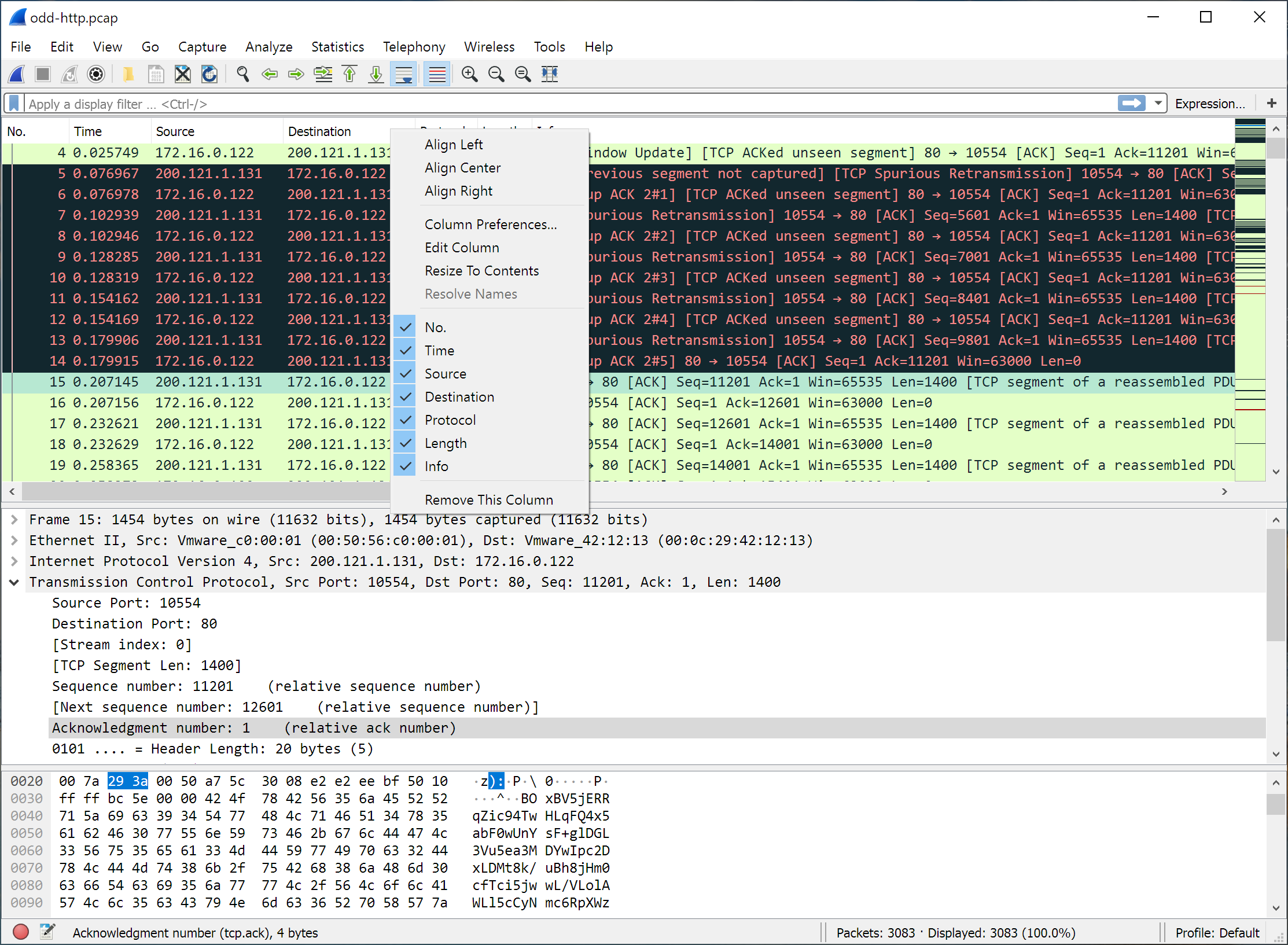 Wireshark capture of TCP and DNS traffic during lab analysis